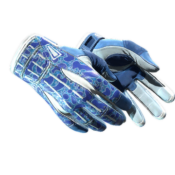 Sport Gloves — Amphibious
