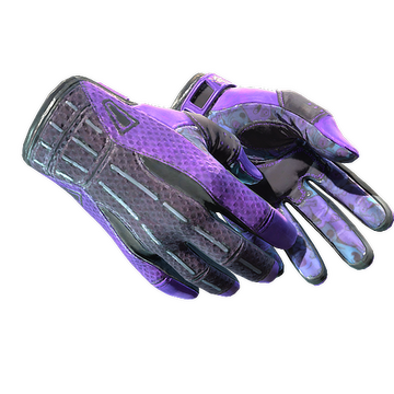 Sport Gloves — Pandora's Box